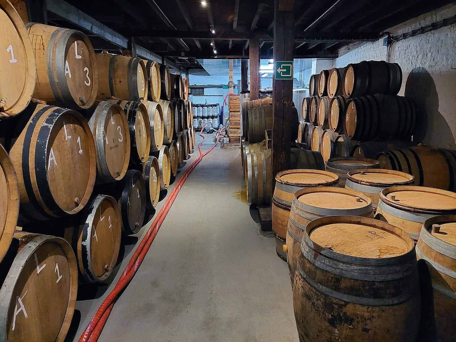 Rows of wooden casks of lambic in the cellar of Brasserie Cantillon, Brussels